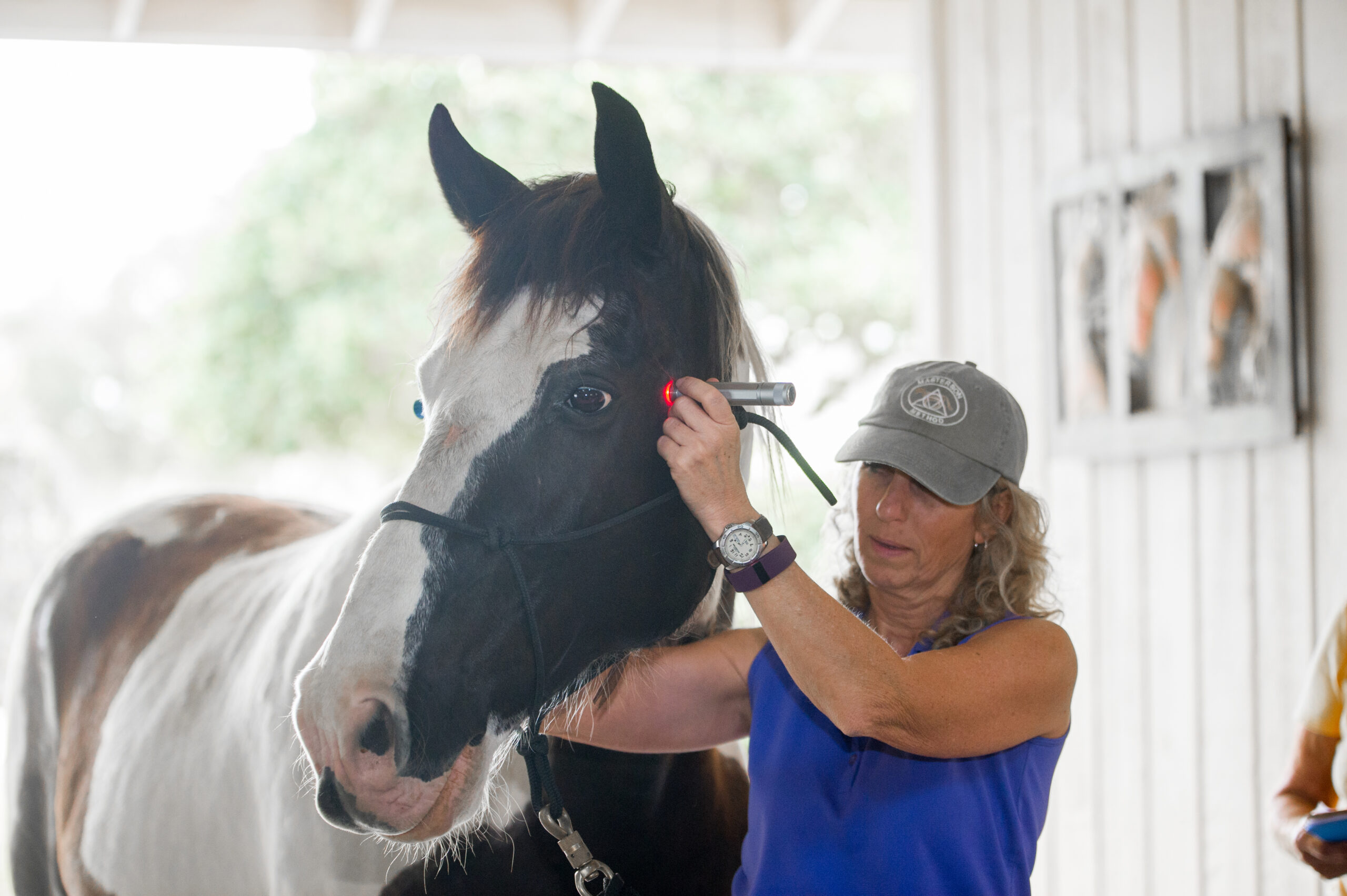 PhotosbyLiane.com 317 (1) (1) PhotosbyLiane.com 317 (1) (1)