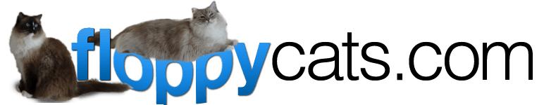 Floppycats Logo for Photonic Health Floppycats Logo for Photonic Health