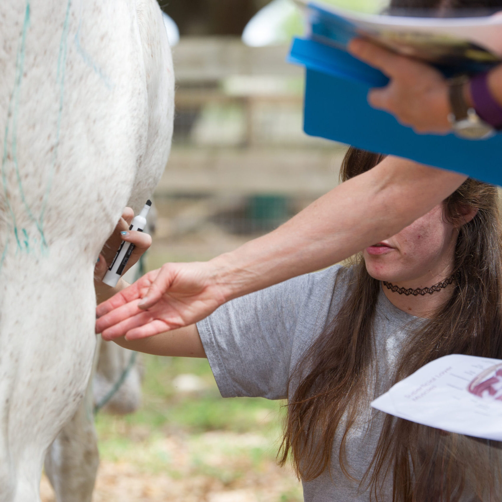 PhotosbyLiane.com 119