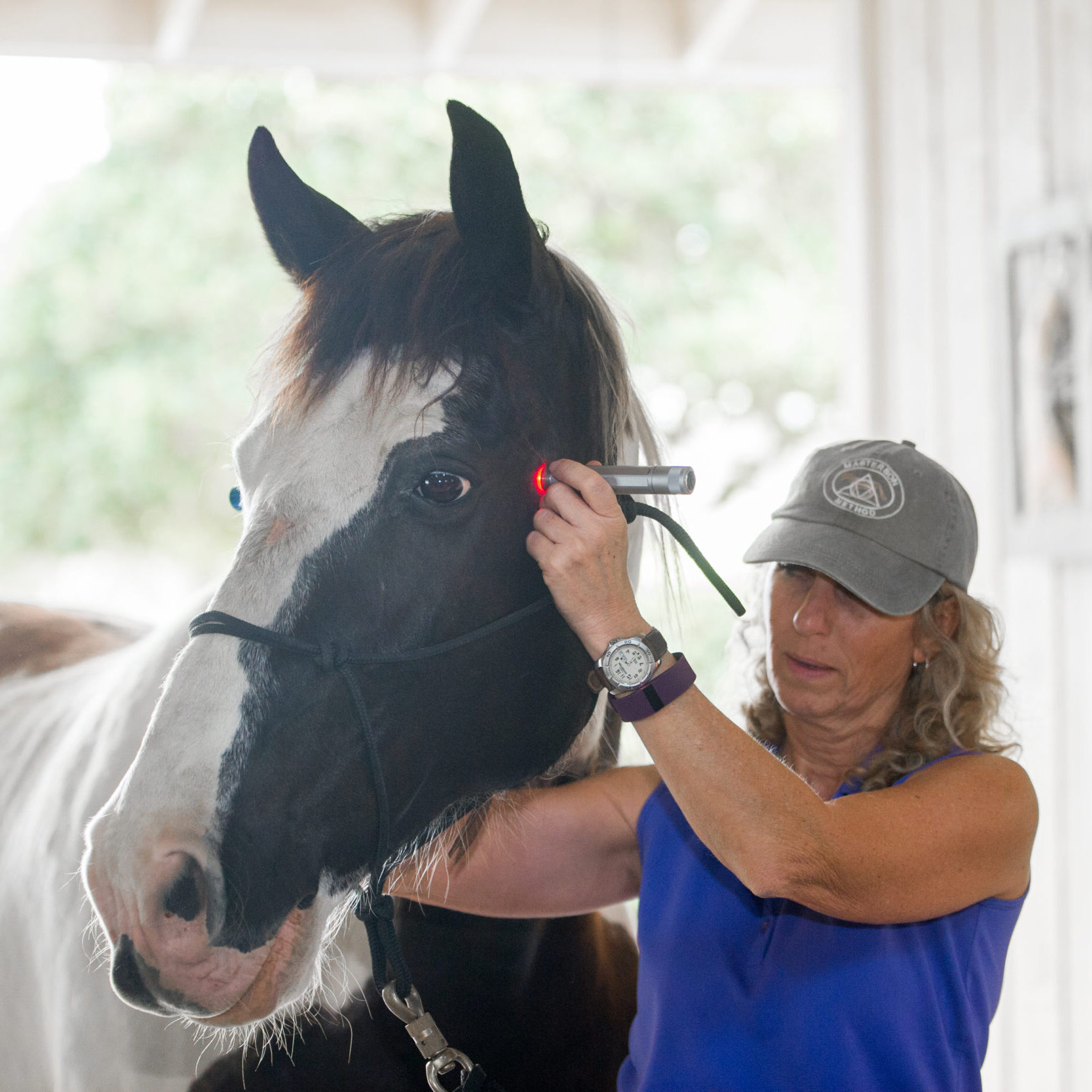 PhotosbyLiane.com 317 (1) (1)