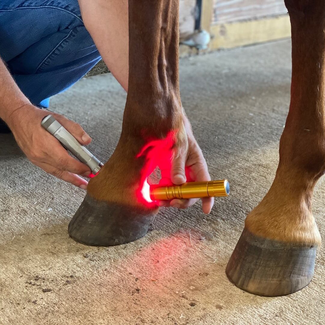 mobile_file_2020-06-30_21-05-59 (1) (1)