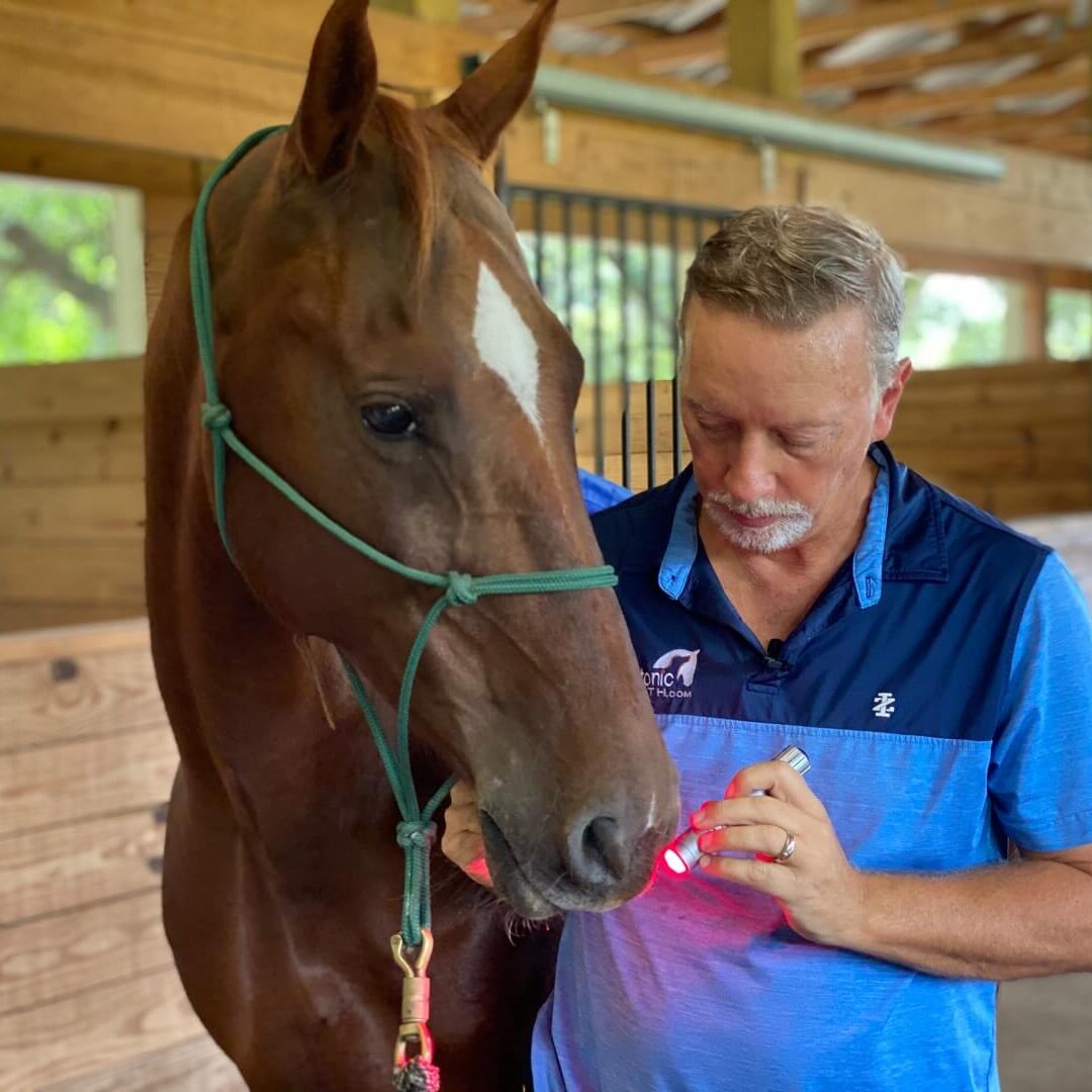 mobile_file_2020-09-25_13-46-28