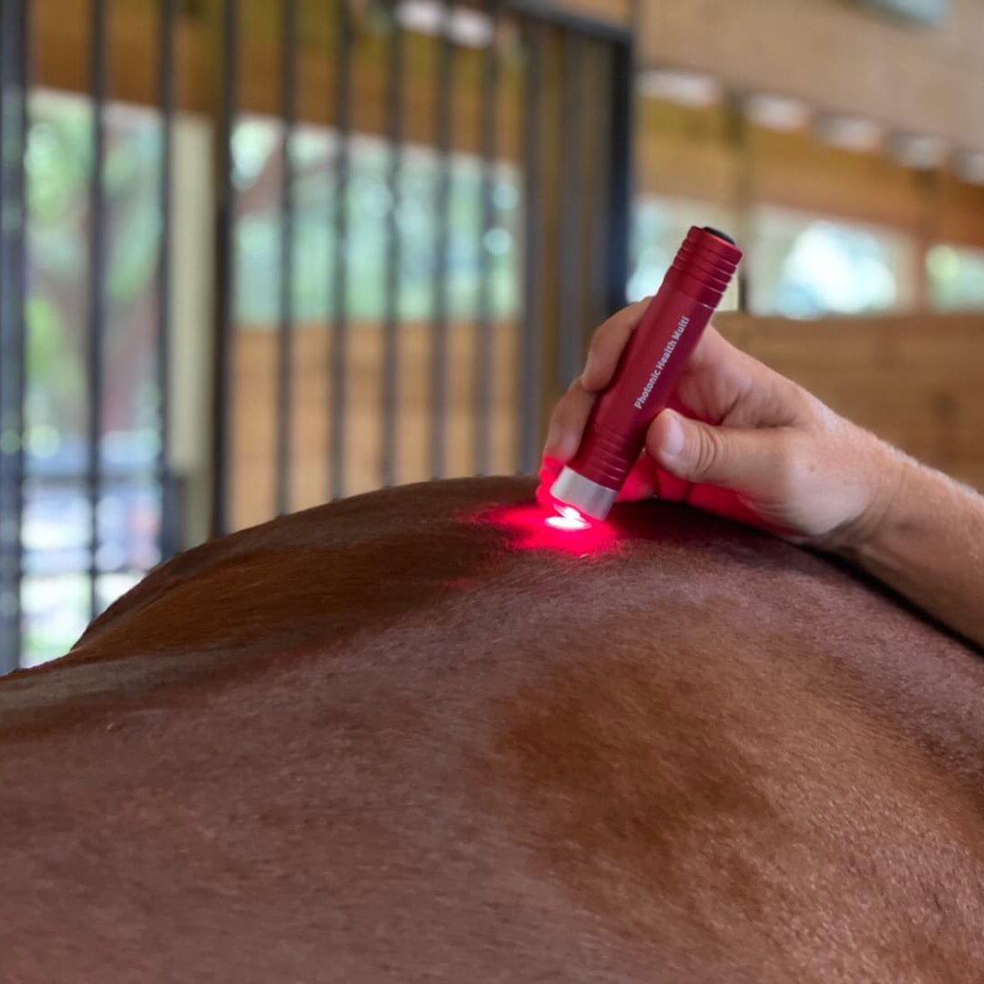 mobile_file_2020-11-08_17-51-58 (1) (1)